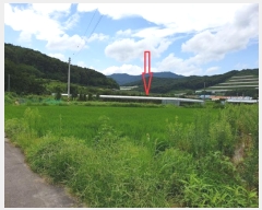  2024Ÿ��14830  �����