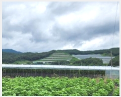  2024Ÿ��14830  �����