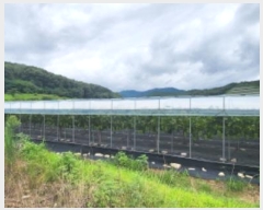  2024Ÿ��14830  �����