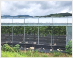  2024Ÿ��14830  �����