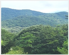  2024Ÿ14991  ̽ 뵿 9       (Ӿ)