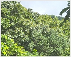  2024Ÿ14991  ̽ 뵿 9       (Ӿ)