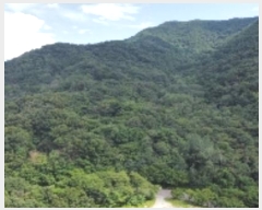  2024Ÿ14991  ̽ 뵿 9       (Ӿ)