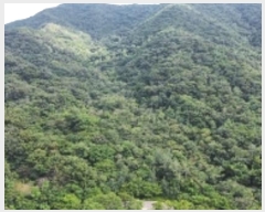  2024Ÿ14991  ̽ 뵿 9       (Ӿ)