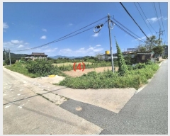  2024Ÿ��15338  ���ð��