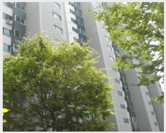  2024Ÿ15536  ̽ ε19 36-11, 103 161606ȣ (ǵ,û)    Ʈ