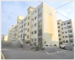  2024Ÿ17051  ̽  42  3 18ȣ    Ʈ