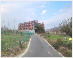  2024Ÿ17716  õ  õ 277      ڽü,,ȣ,