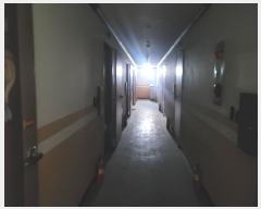  2024Ÿ17716  õ  õ 277      ڽü,,ȣ,