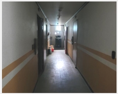  2024Ÿ17716  õ  õ 277      ڽü,,ȣ,