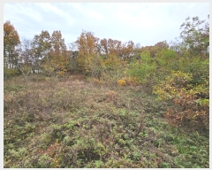  2024Ÿ��17808 ��� ���̽� ����� ��ȣ�� 396      ����(��1)���