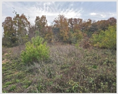  2024Ÿ��17808 ��� ���̽� ����� ��ȣ�� 396      ����(��1)���