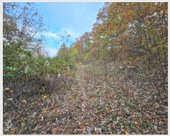  2024Ÿ��17808 ��� ���̽� ����� ��ȣ�� 396      ����(��1)���