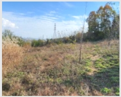  2024Ÿ��17808 ��� ���̽� ����� ��ȣ�� 396      ����(��1)���