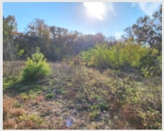  2024Ÿ��17808 ��� ���̽� ����� ��ȣ�� 396      ����(��1)���