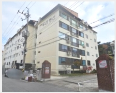  2024Ÿ17884  ̽ 32 19-10, 2208ȣ      Ʈ