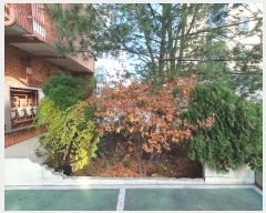  2024Ÿ18290  ̽  1047-11       ٰð