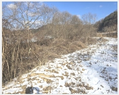  2024Ÿ18504  õ  Ű 810-2      ()