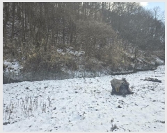  2024Ÿ18504  õ  Ű 810-2      ()