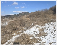  2024Ÿ18504  õ  Ű 810-2      ()