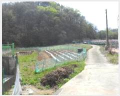  2024Ÿ��787 ��� ��õ�� ���� ��õ�� 1585      ����(��1)���