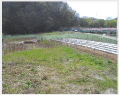  2024Ÿ��787 ��� ��õ�� ���� ��õ�� 1585      ����(��1)���