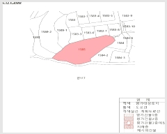  2024Ÿ��787 ��� ��õ�� ���� ��õ�� 1585      ����(��1)���