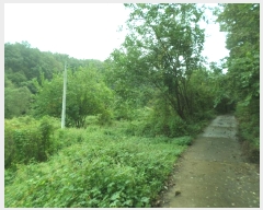  2024Ÿ2400  õ õ  39      ()