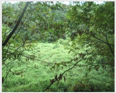  2024Ÿ2400  õ õ  39      ()