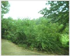  2024Ÿ2400  õ õ  39      ()