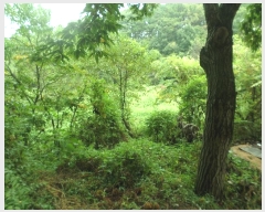  2024Ÿ2400  õ õ  39      ()