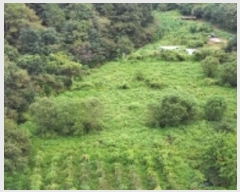  2024Ÿ2400  õ õ  39      ()