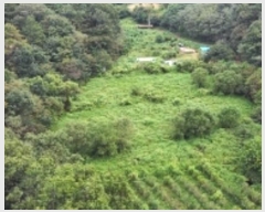  2024Ÿ2400  õ õ  39      ()