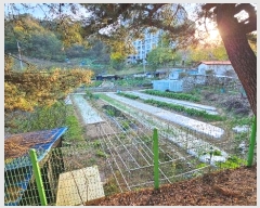  2024Ÿ2875  õ  1232       (1)