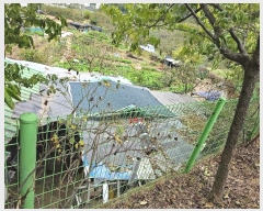  2024Ÿ2875  õ  1232       (1)