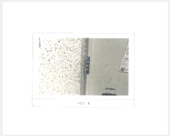  2024Ÿ2929  õ ΰ 206, 109 111105ȣ (ΰ,ΰŸ)    Ʈ