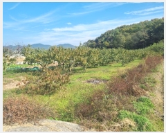  2024Ÿ2974  ̽  190       ()