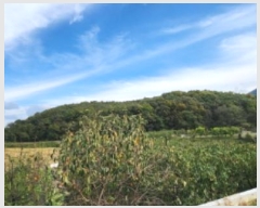  2024Ÿ2974  ̽  190       ()