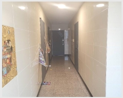  2024Ÿ3038  ̽  1053-12       ٰð