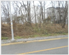  2024Ÿ3373  ̽ 赿 1166       ()