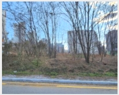  2024Ÿ3373  ̽ 赿 1166       ()