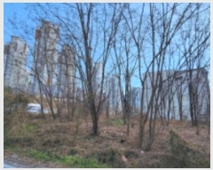  2024Ÿ3373  ̽ 赿 1166       ()