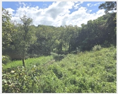  2024Ÿ15192  õ ׸ õ 1143      (1)