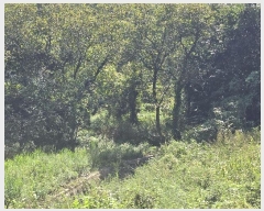  2024Ÿ15192  õ ׸ õ 1143      (1)