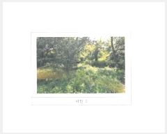  2024Ÿ15192  õ ׸ õ 1143      (1)