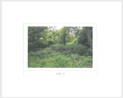  2024Ÿ15192  õ ׸ õ 1143      (1)