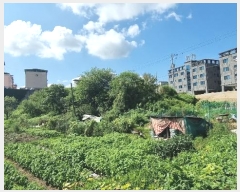  2024Ÿ��15642 ��� ��õ�� ���µ� 498-9       ����(��)���