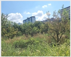  2024Ÿ��15642 ��� ��õ�� ���µ� 498-9       ����(��)���