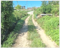  2024Ÿ��15642 ��� ��õ�� ���µ� 498-9       ����(��)���