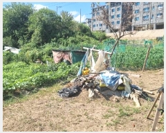  2024Ÿ��15642 ��� ��õ�� ���µ� 498-9       ����(��)���